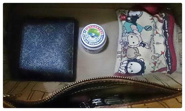 NATURKEY力萃奇旺福金安膏