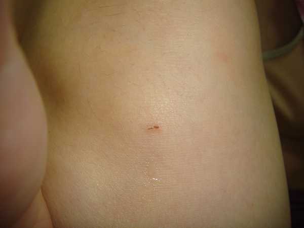 NATURKEY力萃奇旺福金安膏