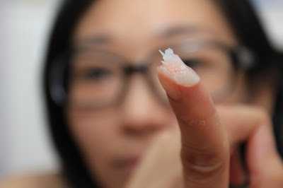 NATURKEY力萃奇旺福金安膏