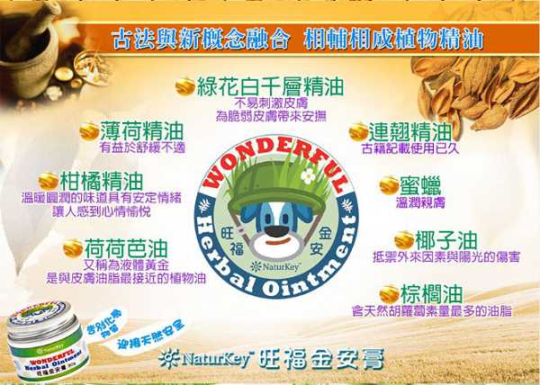 NATURKEY力萃奇旺福金安膏