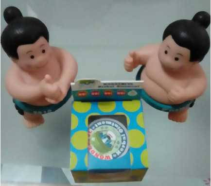 NATURKEY力萃奇旺福金安膏