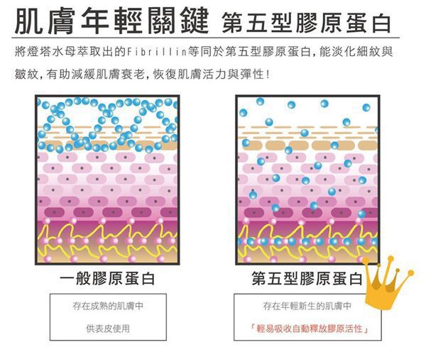 yadoma水母膠原賦活精華乳