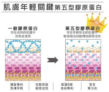 yadoma水母膠原賦活精華乳