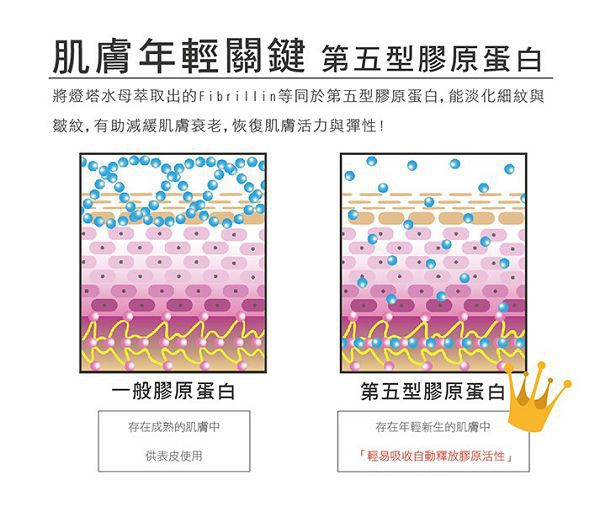 yadoma水母膠原賦活精華乳