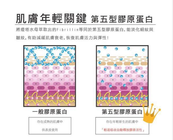 yadoma水母膠原賦活精華乳