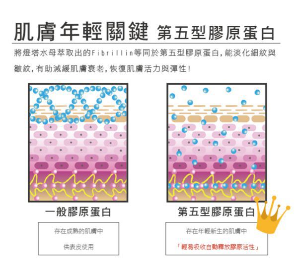 yadoma水母膠原賦活精華乳