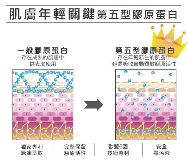 yadoma水母膠原賦活精華乳