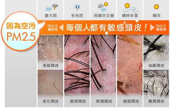 Image 1.jpg - 女人知已