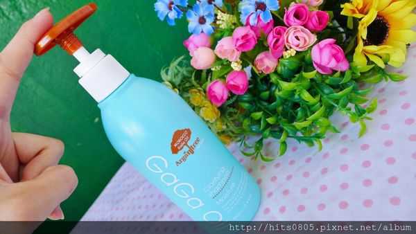 P1520823 (1280x721).jpg