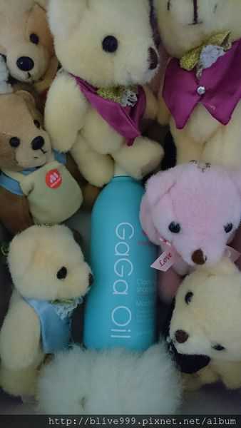 GaGa摩洛哥5.5頭皮專科舒緩洗髮精