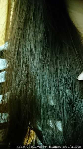 GaGa摩洛哥5.5頭皮專科舒緩洗髮精