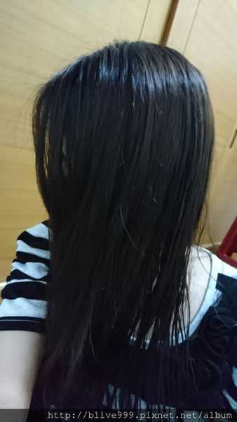 GaGa摩洛哥5.5頭皮專科舒緩洗髮精