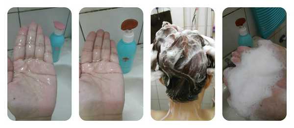 GaGa摩洛哥5.5頭皮專科舒緩洗髮精