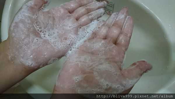 GaGa摩洛哥5.5頭皮專科舒緩洗髮精