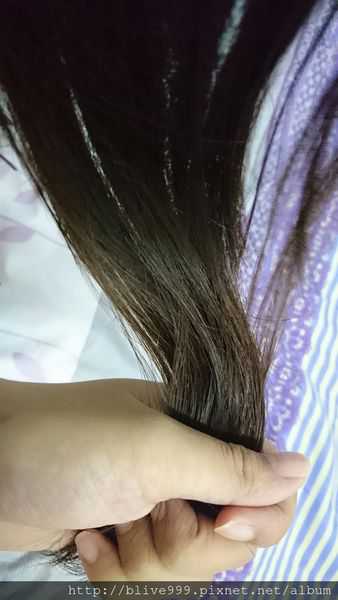 GaGa摩洛哥5.5頭皮專科舒緩洗髮精