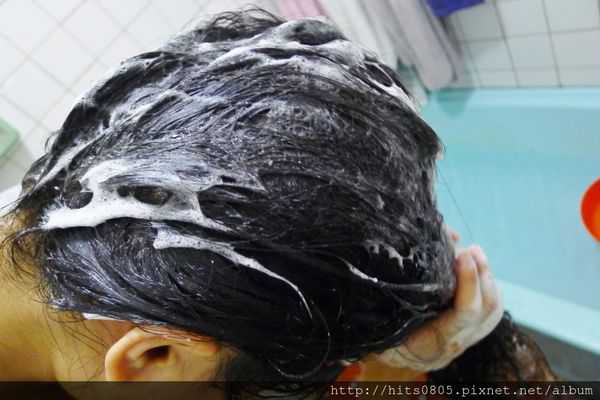 P1530192 (1280x852).jpg