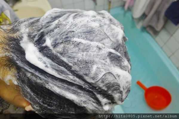 P1530197 (1280x852).jpg