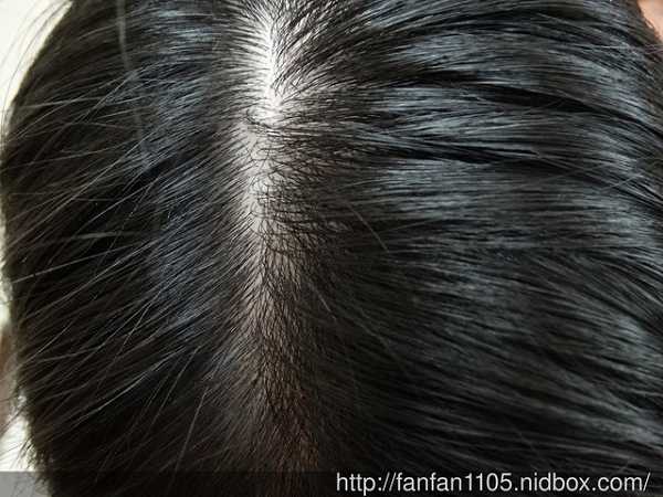 GaGa摩洛哥5.5頭皮專科舒緩洗髮精