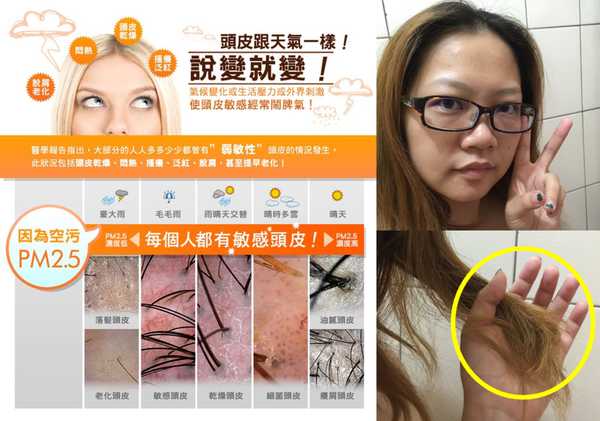 GaGa摩洛哥5.5頭皮專科舒緩洗髮精