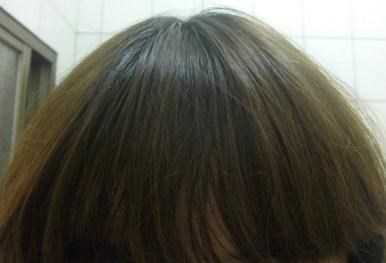 GaGa摩洛哥5.5頭皮專科舒緩洗髮精