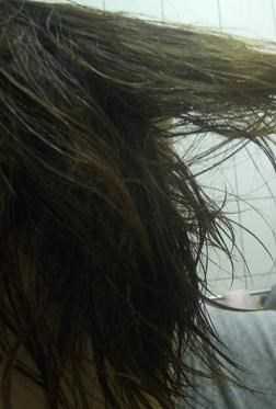 GaGa摩洛哥5.5頭皮專科舒緩洗髮精