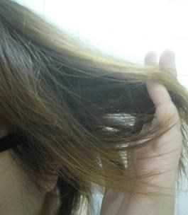 GaGa摩洛哥5.5頭皮專科舒緩洗髮精