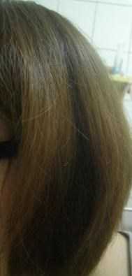 GaGa摩洛哥5.5頭皮專科舒緩洗髮精