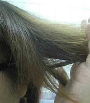 GaGa摩洛哥5.5頭皮專科舒緩洗髮精