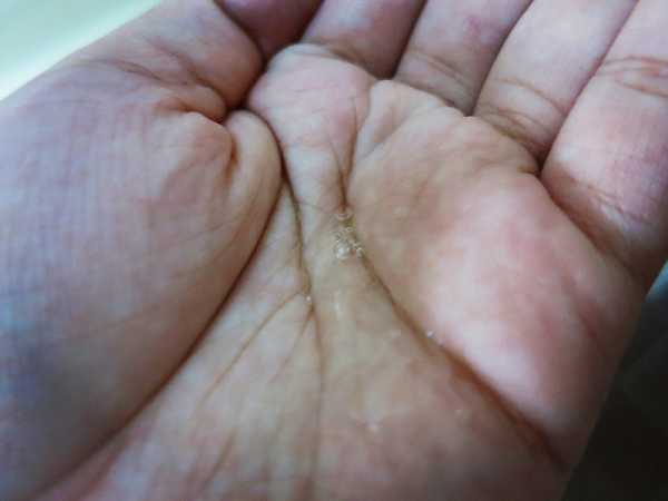 GaGa摩洛哥5.5頭皮專科舒緩洗髮精