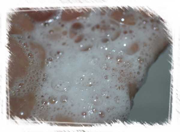 GaGa摩洛哥5.5頭皮專科舒緩洗髮精