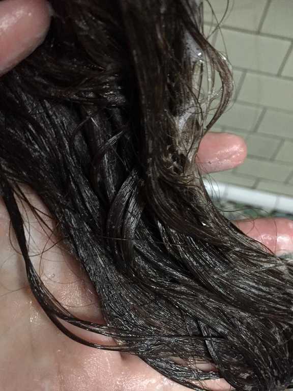 GaGa摩洛哥5.5頭皮專科舒緩洗髮精