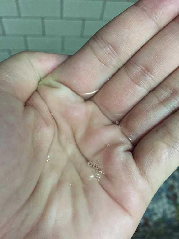 GaGa摩洛哥5.5頭皮專科舒緩洗髮精