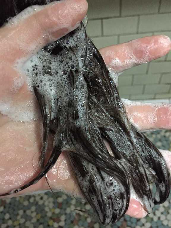 GaGa摩洛哥5.5頭皮專科舒緩洗髮精