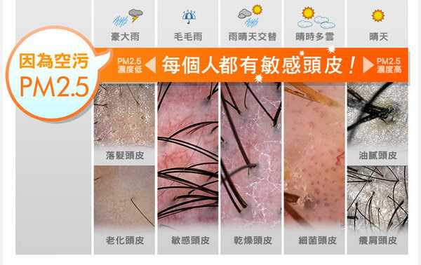 GaGa摩洛哥5.5頭皮專科舒緩洗髮精