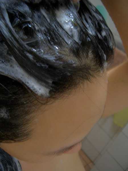 GaGa摩洛哥5.5頭皮專科舒緩洗髮精