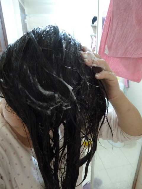 GaGa摩洛哥5.5頭皮專科舒緩洗髮精