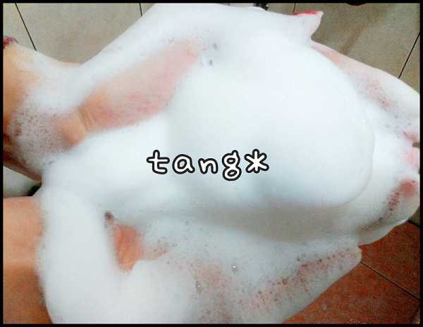  GaGa摩洛哥5.5頭皮專科舒緩洗髮精