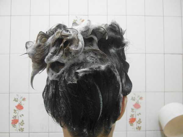  GaGa摩洛哥5.5頭皮專科舒緩洗髮精