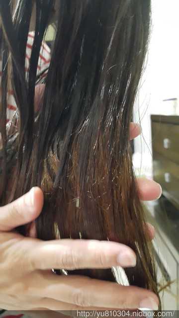 Parfum巴黎帕芬胜肽摩洛哥堅果油經典香水系列(Jo-馬龍 黑莓)