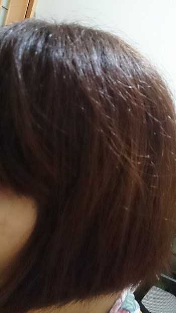 Parfum巴黎帕芬胜肽摩洛哥堅果油經典香水系列(Jo-馬龍 黑莓)