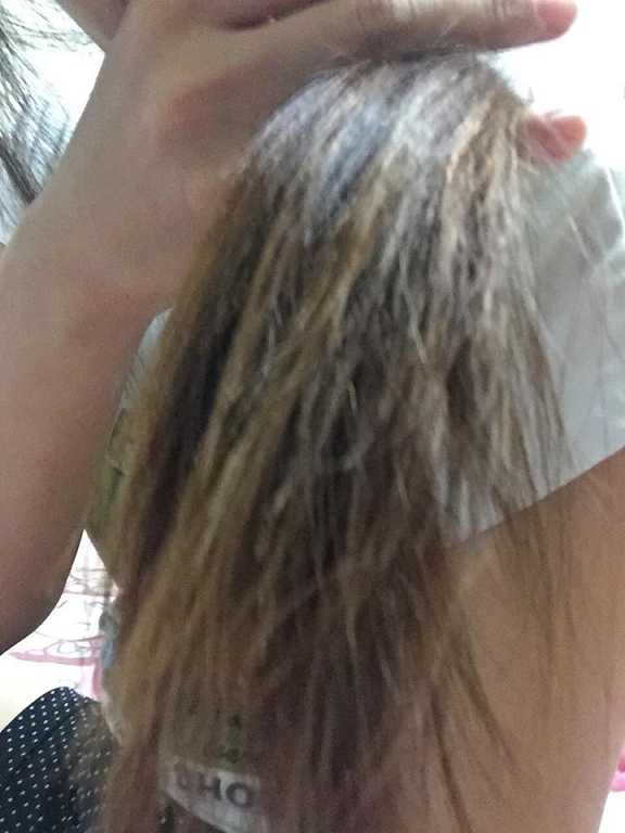 Parfum巴黎帕芬胜肽摩洛哥堅果油經典香水系列(Jo-馬龍 黑莓)