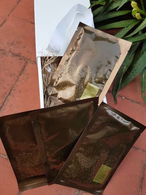 露奇亞白松露煥顏乳霜面膜