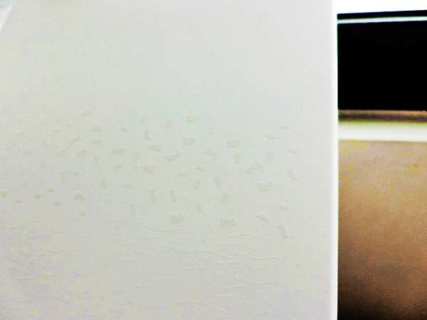 露奇亞白松露煥顏乳霜面膜