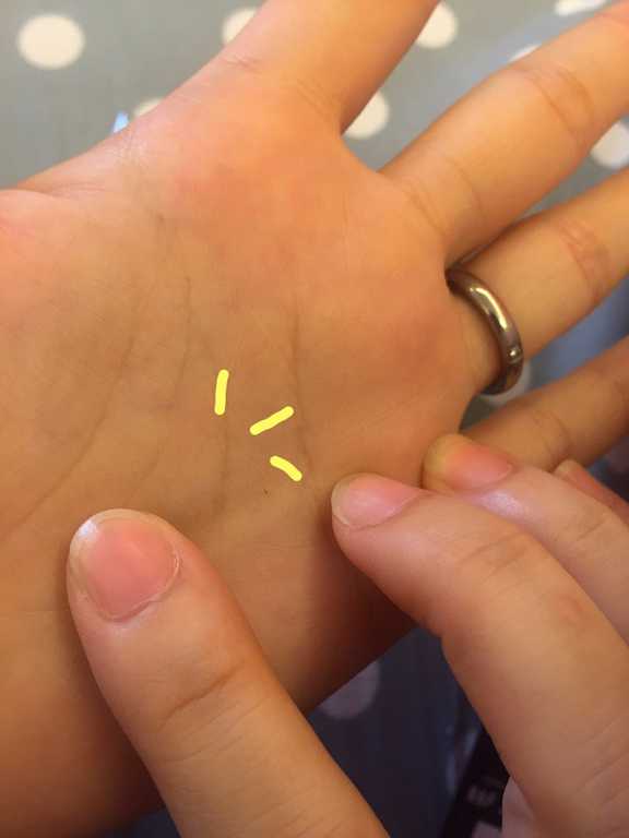 NAF3D持久旋轉眉筆