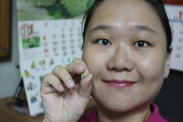 大合暢酵素益生菌