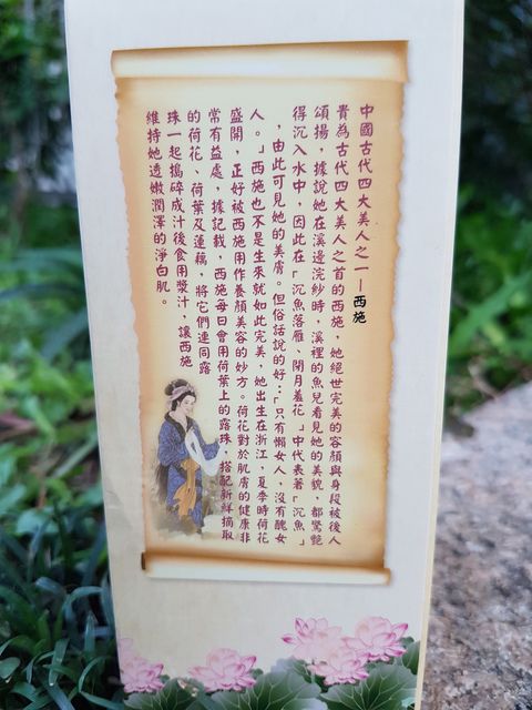 Hey蘋果肌女孩蕾絲拉提式面膜