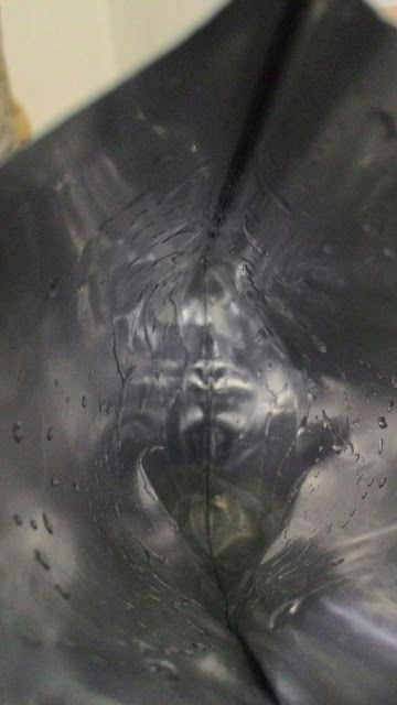 Hey蘋果肌女孩蕾絲拉提式面膜