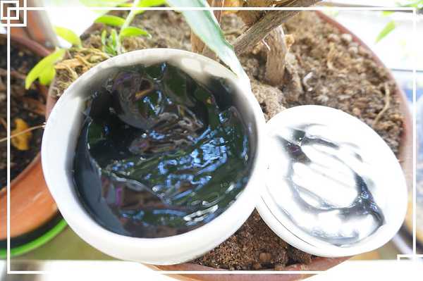 妍霓絲極淨透碳深層喚白黑凍膜