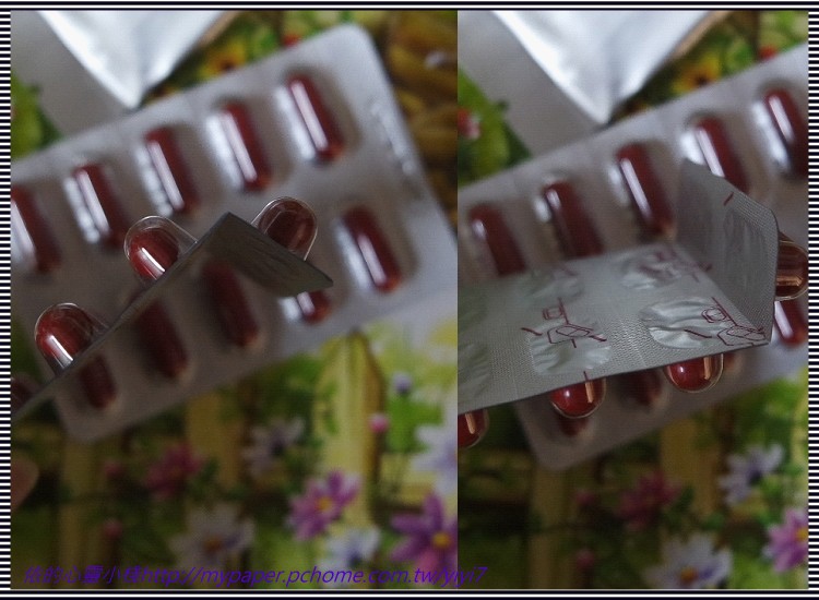 倍爾麗LETOUT蓓纖窈