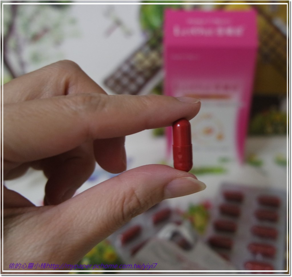 倍爾麗LETOUT蓓纖窈